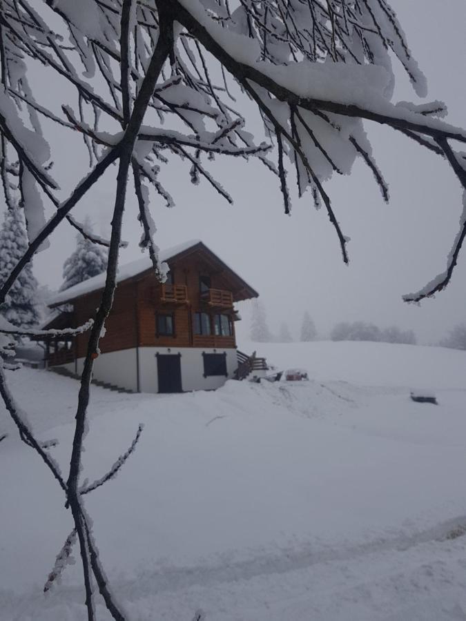 Tulean Cabin Săcel Exteriér fotografie