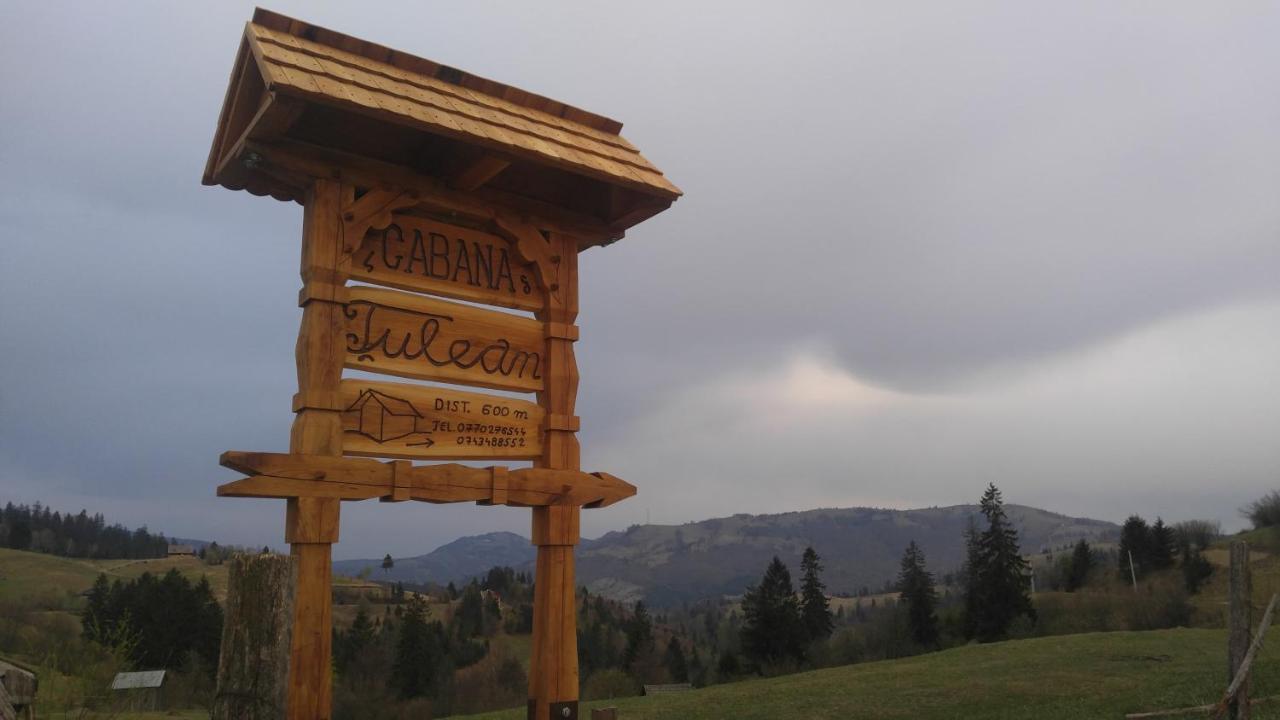 Tulean Cabin Săcel Exteriér fotografie