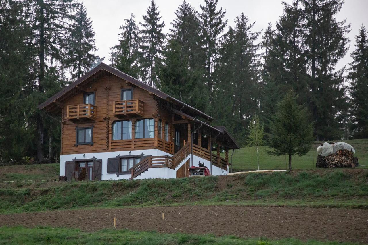 Tulean Cabin Săcel Exteriér fotografie