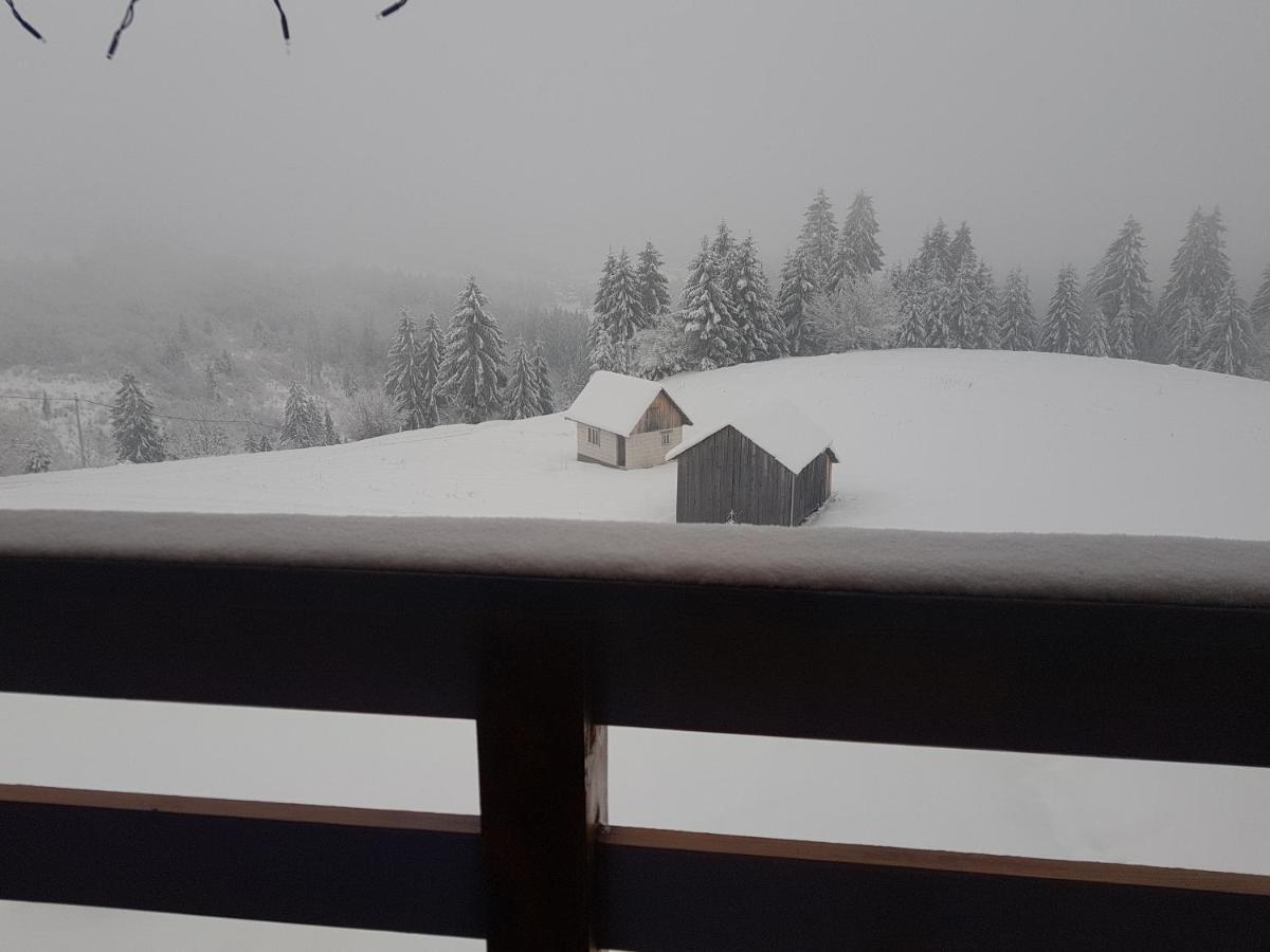 Tulean Cabin Săcel Exteriér fotografie