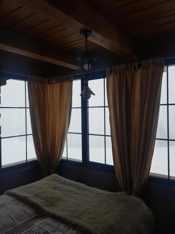Tulean Cabin Săcel Exteriér fotografie