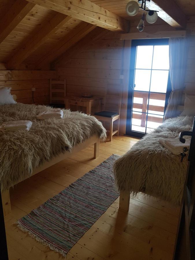 Bed and Breakfast Tulean Cabin Săcel Exteriér fotografie