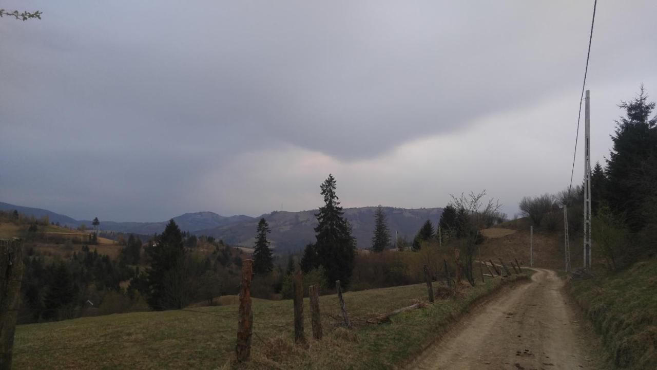 Tulean Cabin Săcel Exteriér fotografie